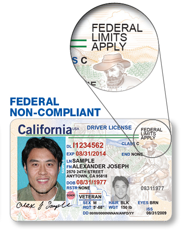 Which driver's licenses are Real ID compliant 